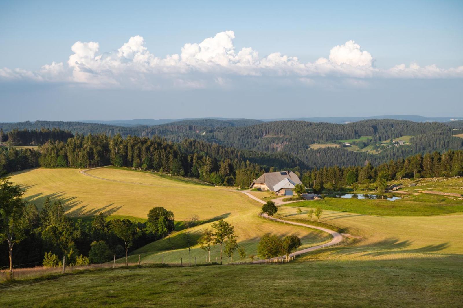 סכונאץ' Landhaus Panoramablick מראה חיצוני תמונה
